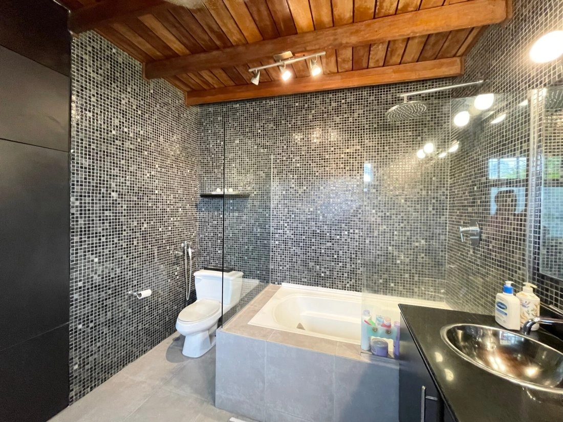 Просторный дом 277 м² в Сан-Мигельито, Панама