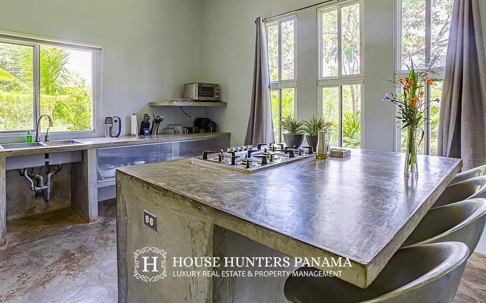 Дом площадью 564 м² с видом на горы в Бокете, Панама