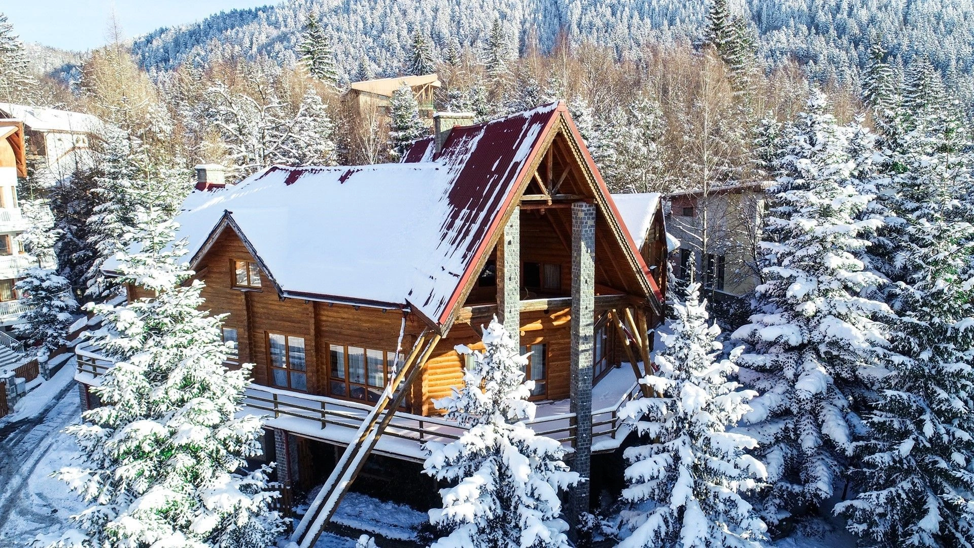 Просторная вилла 700 м2 с сауной в Брашове