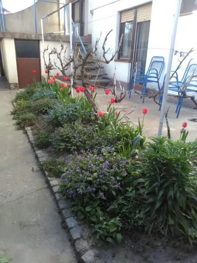 Семейный дом 138 м2 в тихом районе города Сомбор, Сербия