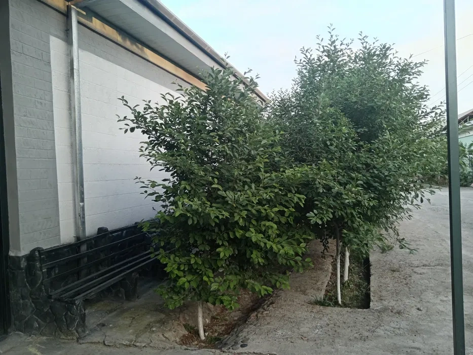 Дом 8+1 с парковкой в Андижане, Узбекистан