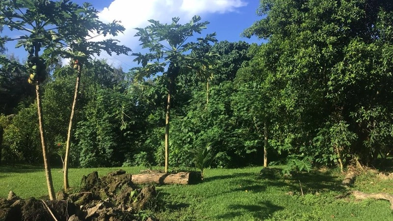 Дом 5+1 с джакузи в Порт-Вила, Вануату
