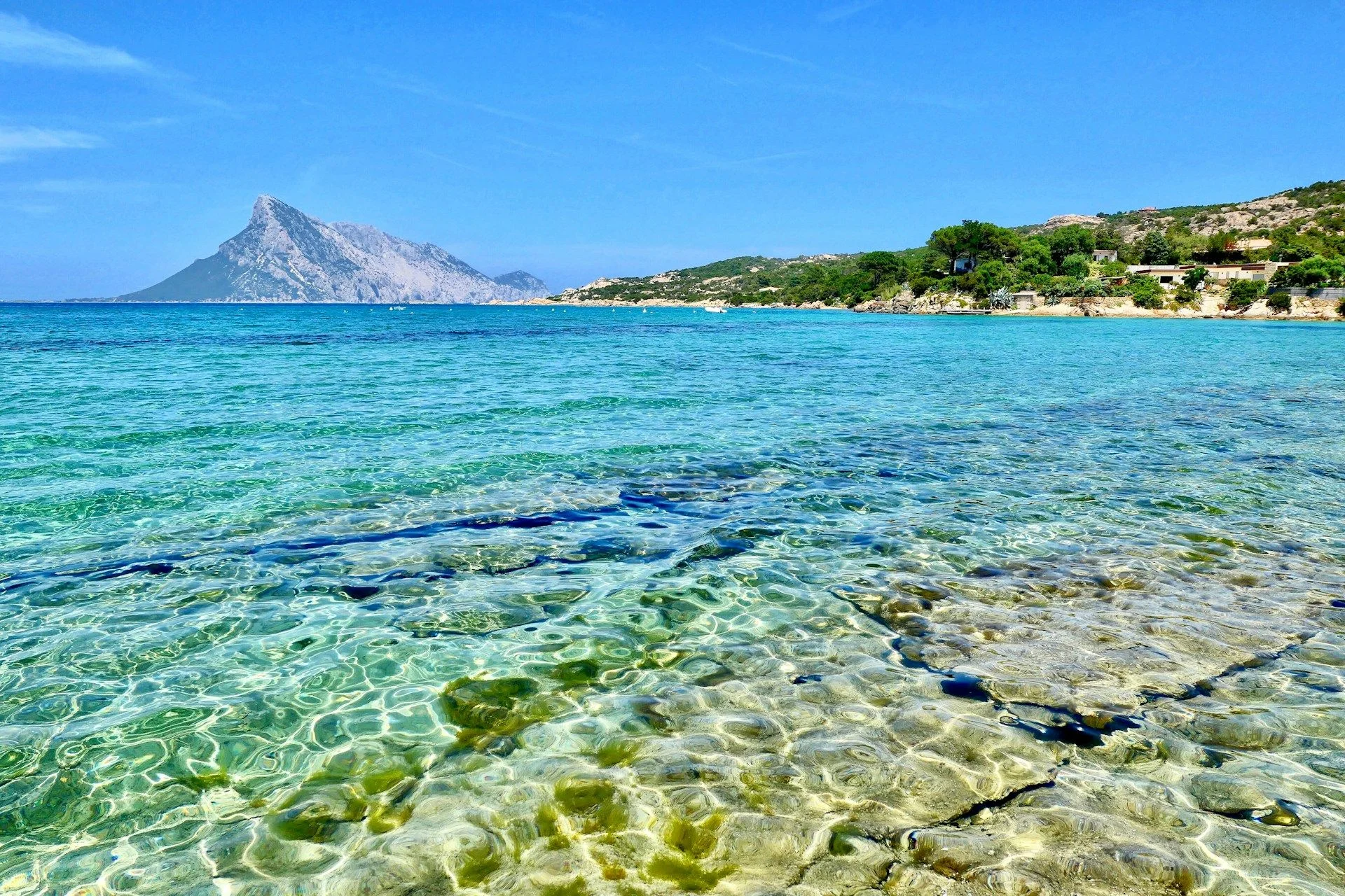 Вторичный рынок недвижимости в Ольбии — премиальная вторичная недвижимость | VelesClub Int.