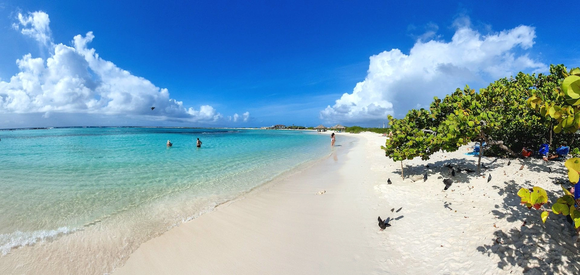 image city Ораньестад