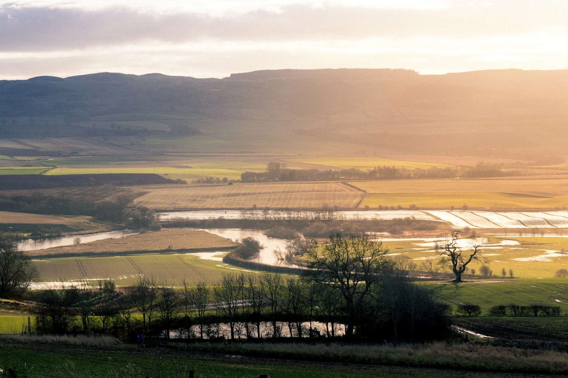 Дома и квартиры на продажу в городе Перт — объявления владельцев | VelesClub Int.