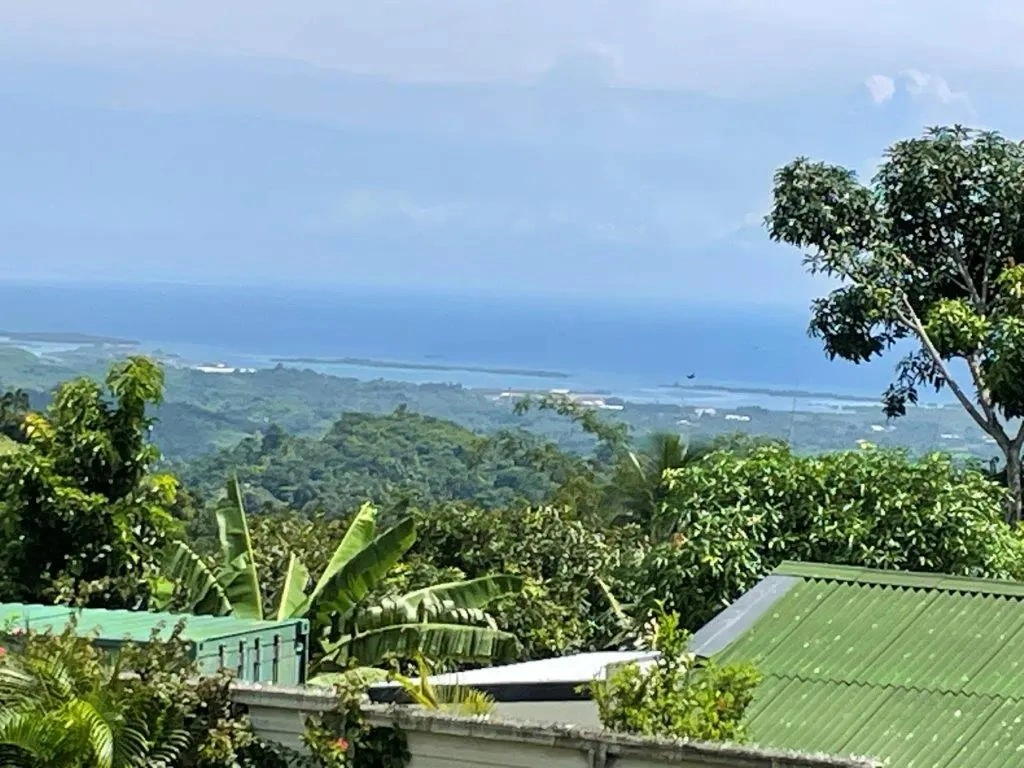 Luxury villa 1115 m2 in Danao of Cebu area, Philippines
