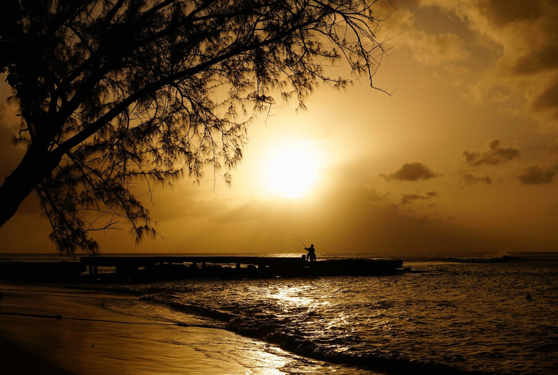 image city Спейтстаун