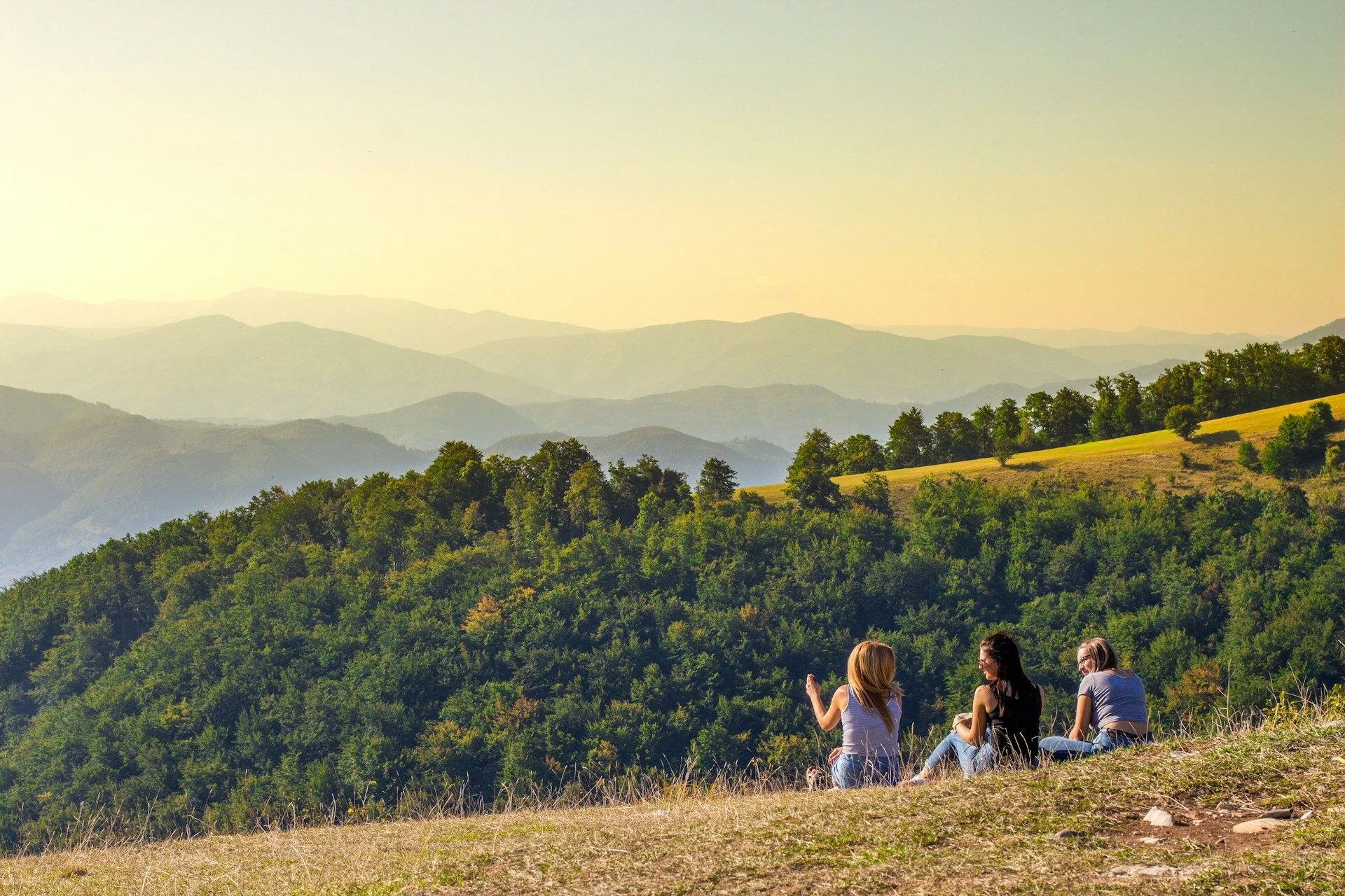 Дома на продажу в Зенице — варианты вторичного рынка | VelesClub Int.