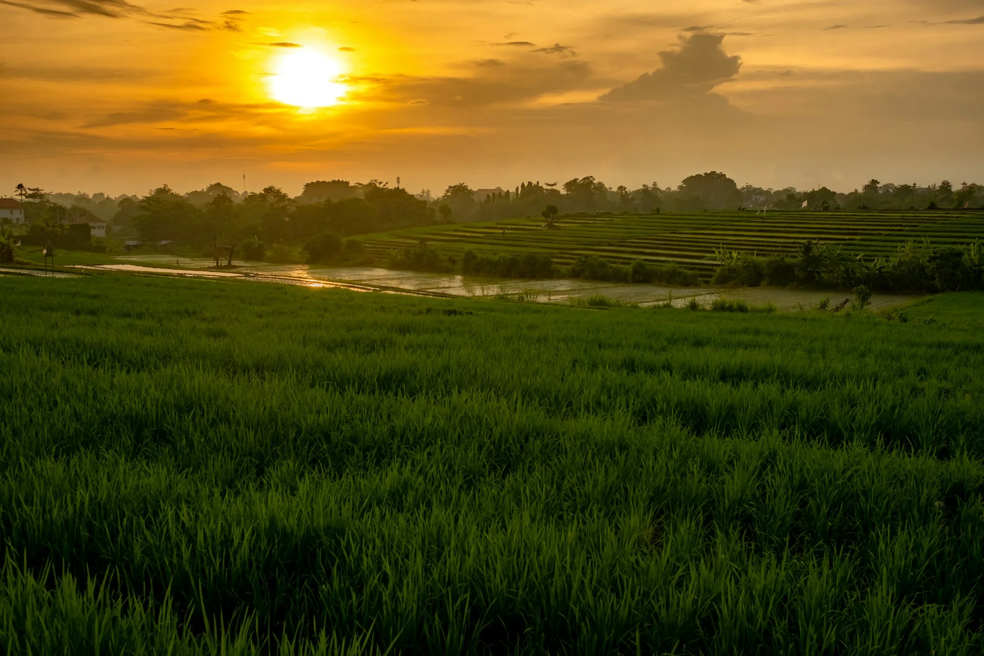 Property By Owner In Badung Regency — Private Listings | VelesClub Int.