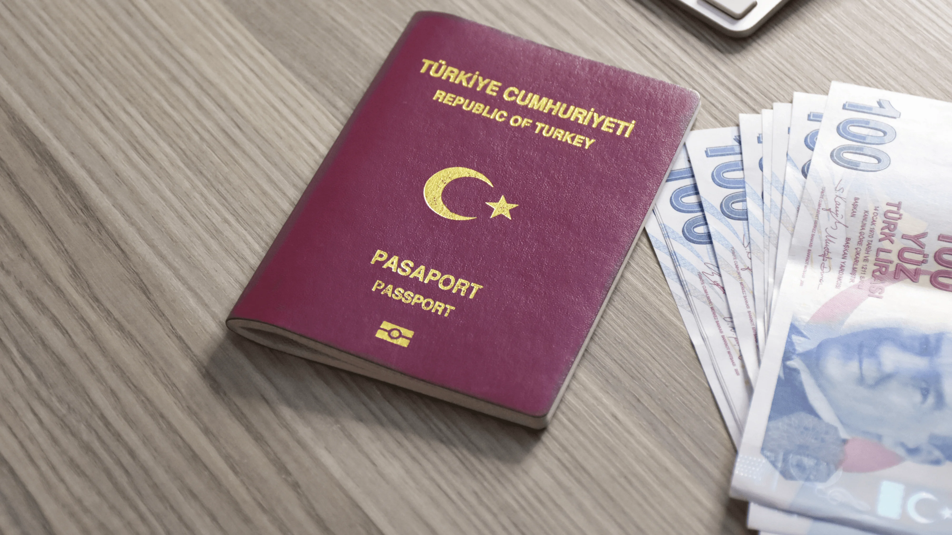 Обзор программы гражданства Турции через инвестиции