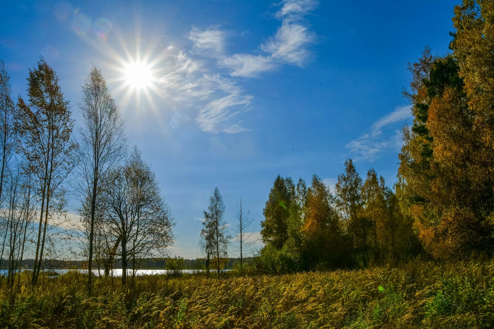 Купить недвижимость без агента в Московской области — Direct FSBO | VelesClub Int.