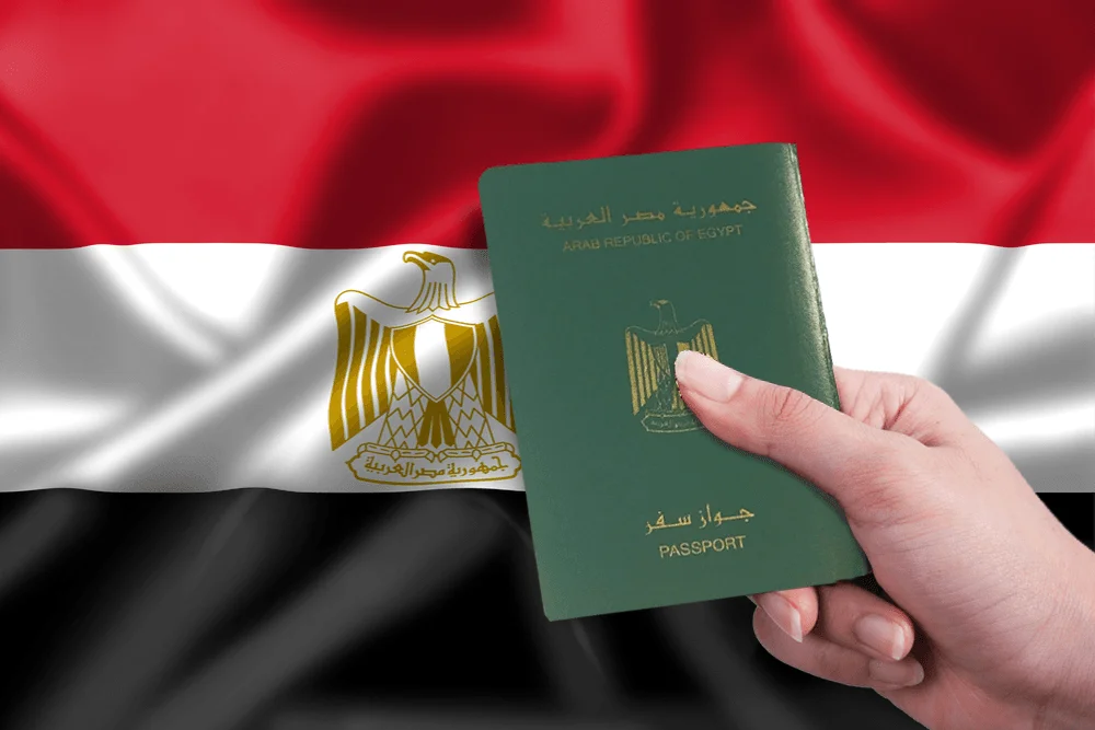 Гражданство Египта через инвестиции: численный анализ